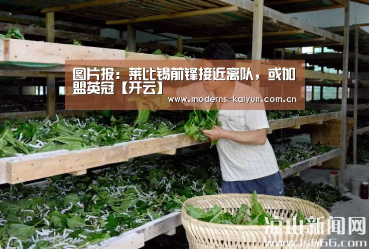 图片报:莱比锡前锋接近离队,或加盟英冠【开云】(图1) 开云体育入口