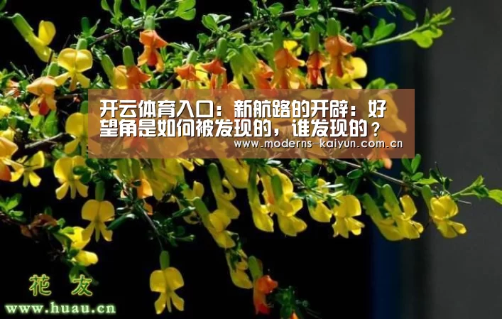 开云体育入口