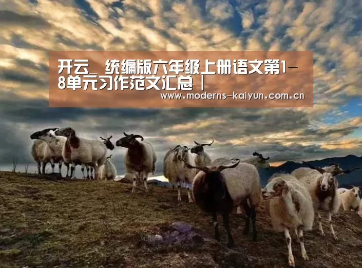 开云_
统编版六年级上册语文第1-8单元习作范文汇总 |(图3) 开云体育下载