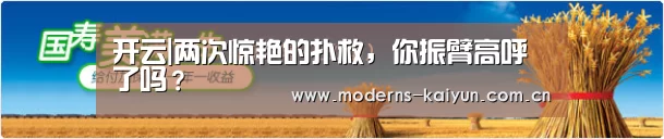 开云体育入口