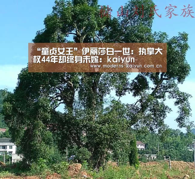 “童贞女王”伊丽莎白一世:执掌大权44年却终身未嫁:kaiyun(图2) 开云官网
