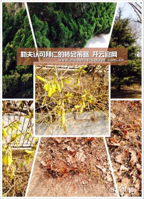 勒夫认可拜仁的转会策略_开云官网(图2) 开云体育下载