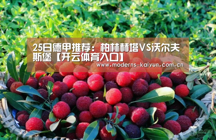 25日德甲推荐：柏林赫塔VS沃尔夫斯堡【开云体育入口】(图1)