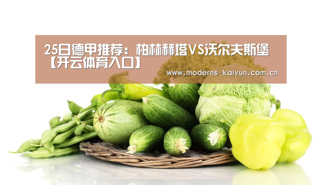 25日德甲推荐：柏林赫塔VS沃尔夫斯堡【开云体育入口】(图2)