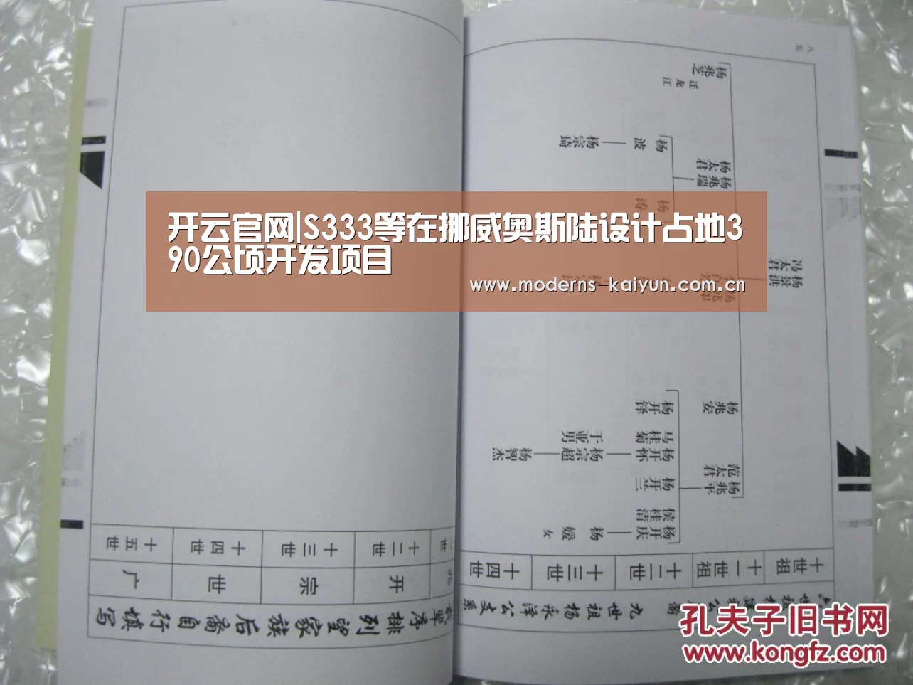 开云官网|S333等在挪威奥斯陆设计占地390公顷开发项目(图2) 开云体育入口