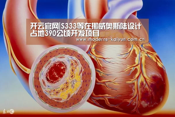 开云官网|S333等在挪威奥斯陆设计占地390公顷开发项目(图1) 开云官网|S333等在挪威奥斯陆设计占地390公顷开发项目(图1)