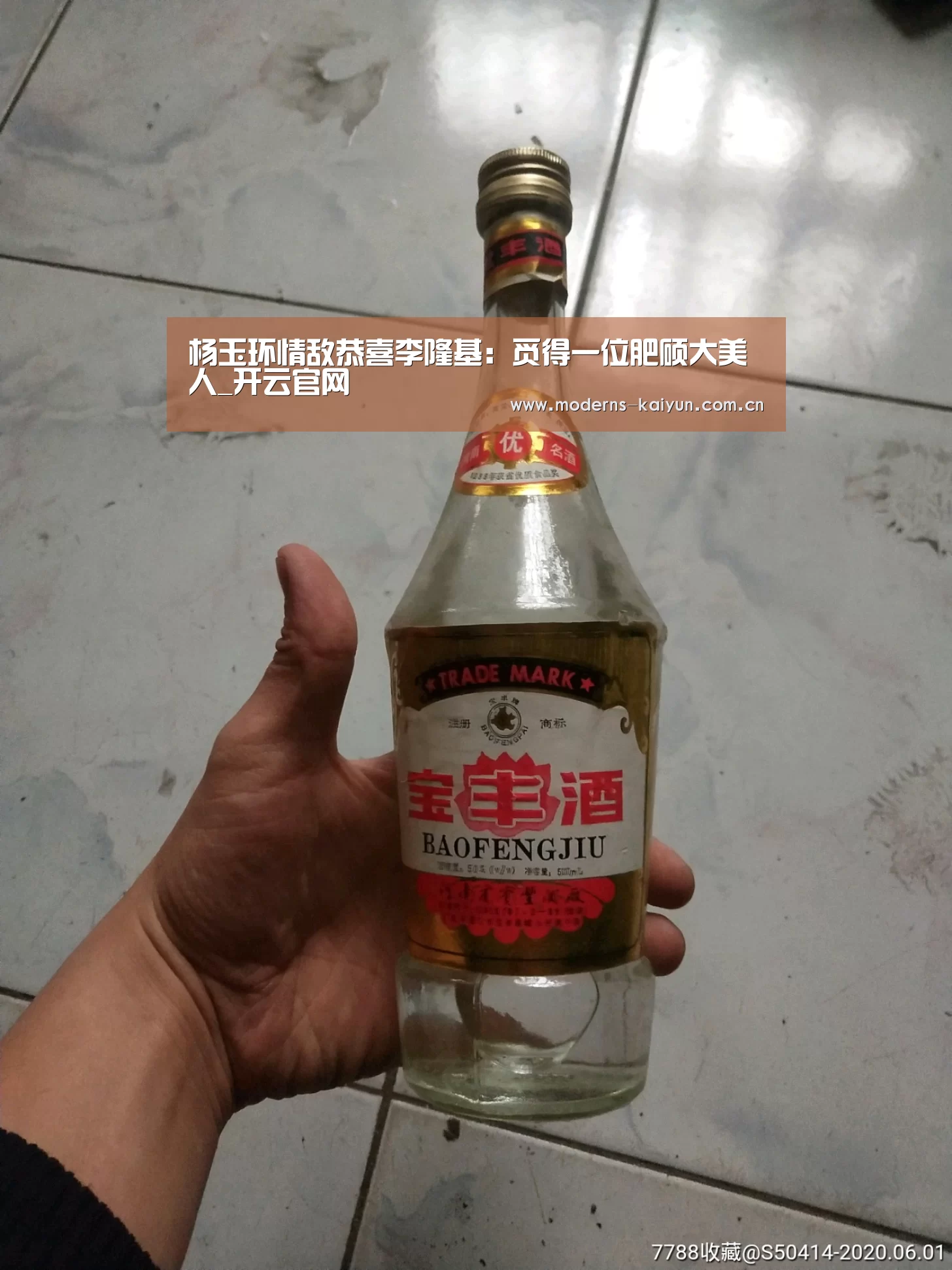 杨玉环情敌恭喜李隆基:觅得一位肥硕大美人_开云官网(图2) 开云体育入口